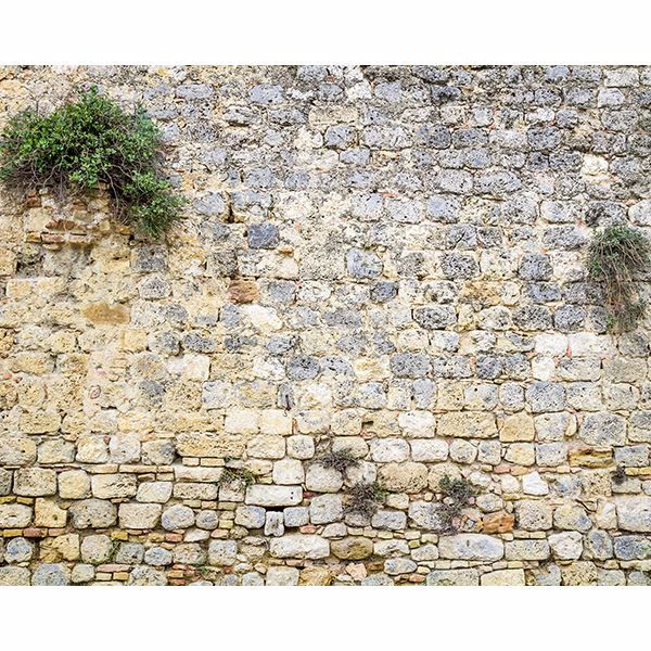 Picture of Stone Wall Mural 
