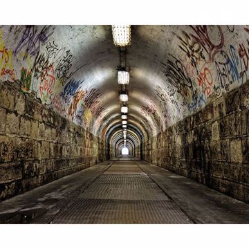 Show details for Graffiti Tunnel Wall Mural