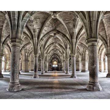 Show details for Gothic Arches Wall Mural