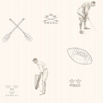Picture of Full Blue Brown Sports Wallpaper 