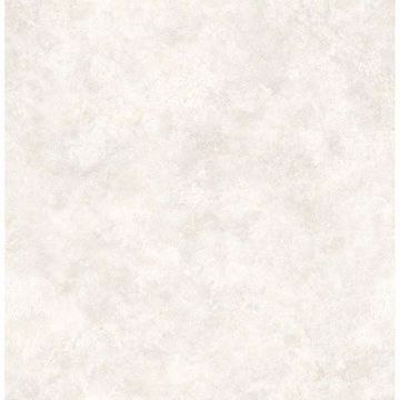 Picture of Astor Silver Texture 