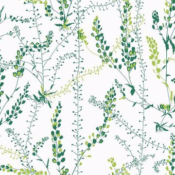 Picture of Bladranker Green Botanical Wallpaper 