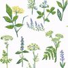 Picture of KÖksväxter Green Floral Wallpaper 