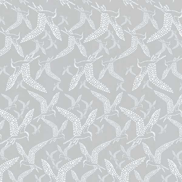 Picture of Lari Grey Bird Wallpaper 