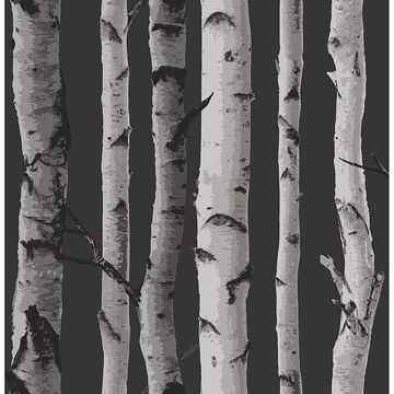 Show details for Distinctive Black Birch Tree Wallpaper