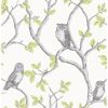 Picture of Linden Green Owl Wallpaper 
