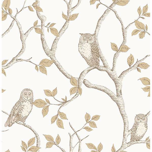 2900 40639 Owl Natural Linden By Fine D Eacute Cor