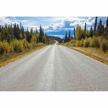 Show details for Atlin Road Wall Mural