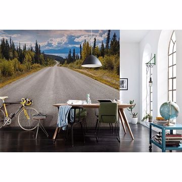 Show details for Atlin Road Wall Mural
