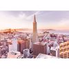 Picture of San Francisco Morning Wall Mural 