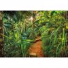 Picture of Jungle Trail Wall Mural 