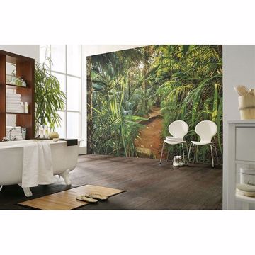 Show details for Jungle Trail Wall Mural