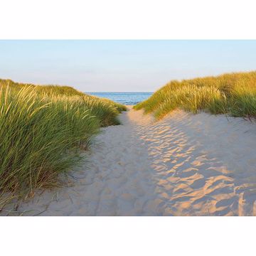 Show details for Sandy Path Wall Mural