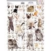 Cats Meow  Wall Stickers