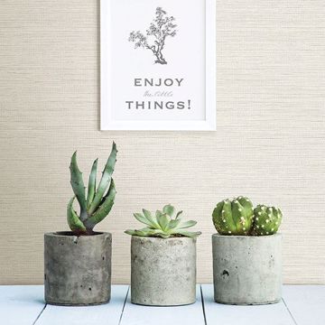 Show details for Agave Dove Grasscloth Wallpaper