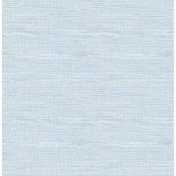 Picture of Agave Sky Blue Grasscloth Wallpaper 