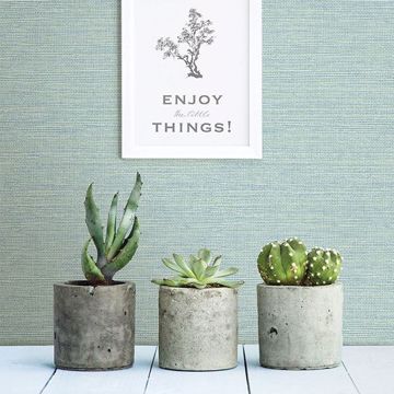 Show details for Agave Teal Grasscloth Wallpaper