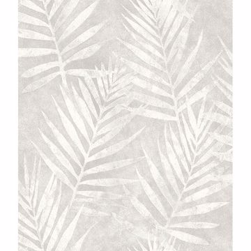 Picture of Amador Silver Palm Wallpaper 