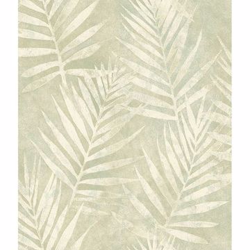Picture of Amador Olive Palm Wallpaper 