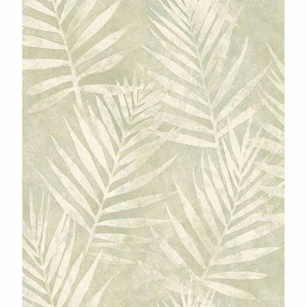 Picture of Amador Olive Palm Wallpaper 