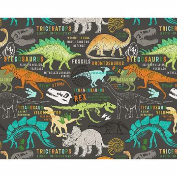Show details for Dinosaurs Wall Mural