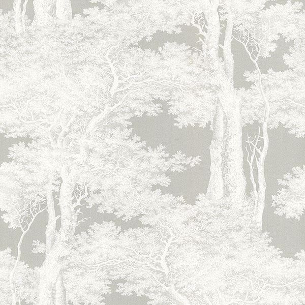 Picture of Scout Grey Forest Wallpaper