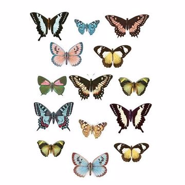 Show details for Spread Your Wings Wall Art Kit