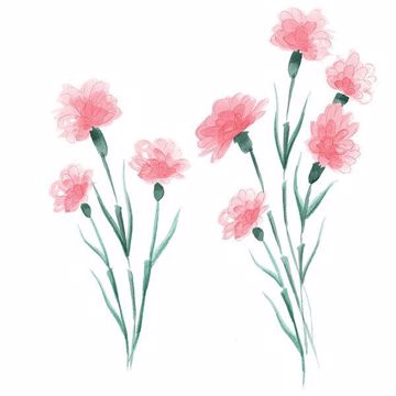 Show details for What in Carnation! Wall Art Kit