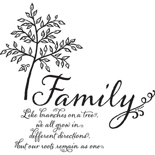 DWPQ2760 - Family Tree Wall Decal - by WallPops