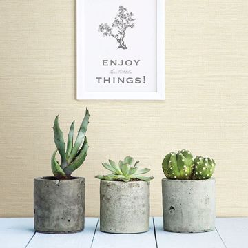 Show details for Bluestem Cream Grasscloth Wallpaper