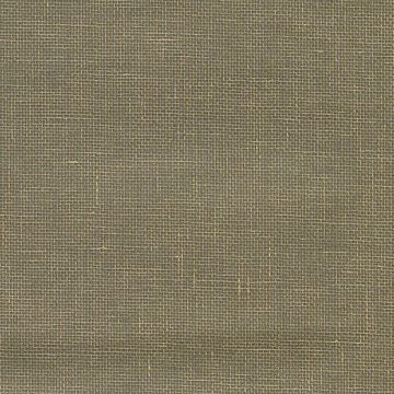 Picture of Leyte Pewter Grasscloth Wallpaper 