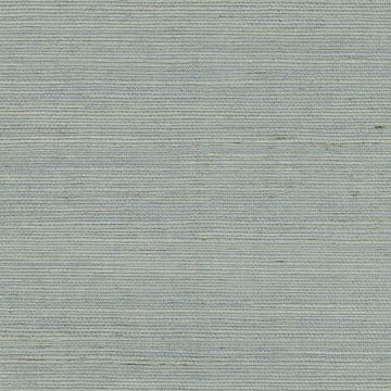 Show details for Zhejiang Aquamarine Grasscloth Wallpaper