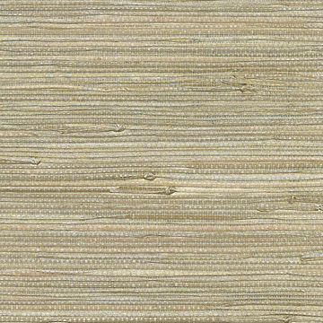 Show details for Iriga Platinum Grasscloth Wallpaper