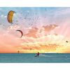 Picture of Wind Surfer Wall Mural 