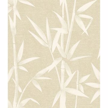 Picture of Catasetum Gold Bamboo Wallpaper 
