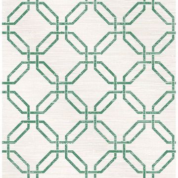Picture of Phaius Green Trellis Wallpaper 