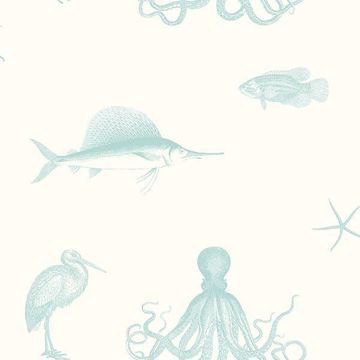 Picture of Ventura Aqua Sea Creature Wallpaper 