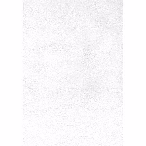 Picture of Cale Paintable Slap Trowel Plaster Wallpaper 