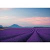 Picture of Provence France Wall Mural 