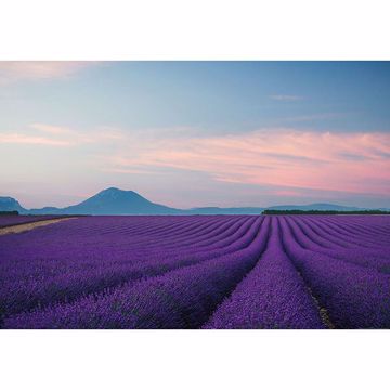 Show details for Provence France Wall Mural