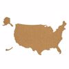 USA Cork Map Pin Board