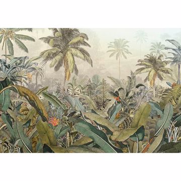 Show details for Amazonia Wall Mural
