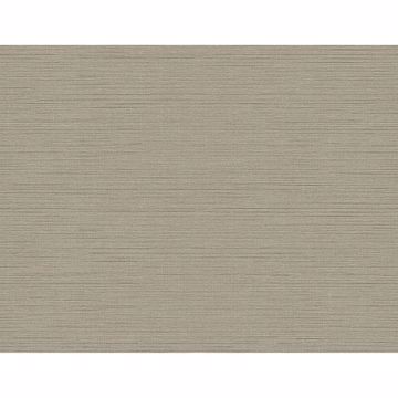 Picture of Agena Taupe Sisal Wallpaper 