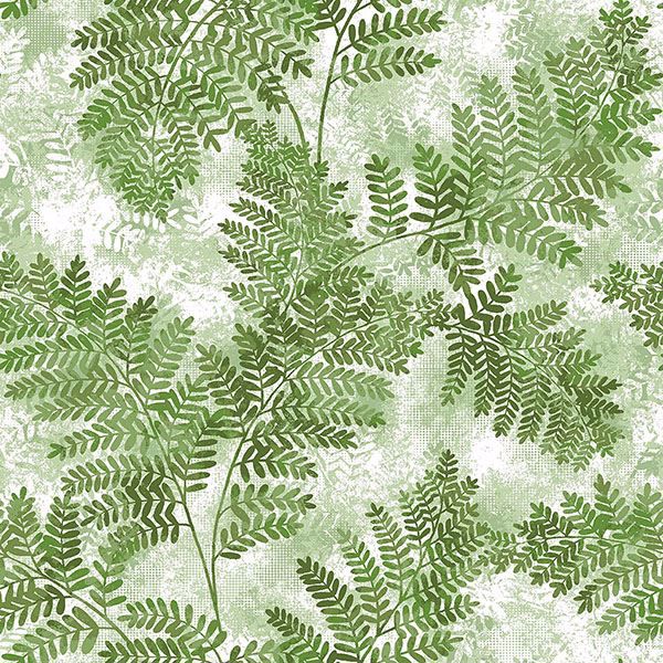 2811 Lv04352 Cyathea Green Fern Wallpaper By Advantage