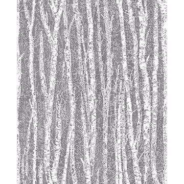 Picture of Toyon Black Birch Tree Wallpaper 