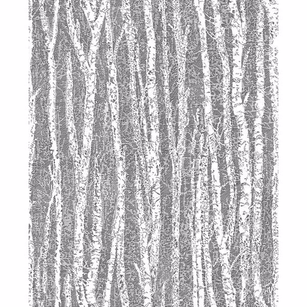 Picture of Toyon Black Birch Tree Wallpaper 