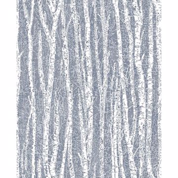 Picture of Toyon Blue Birch Tree Wallpaper 