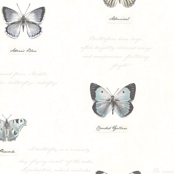 Show products in category Butterflies