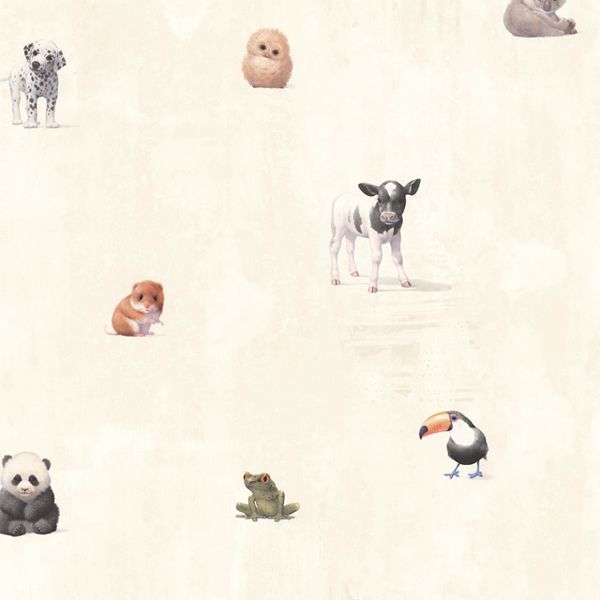 Show products in category Dogs