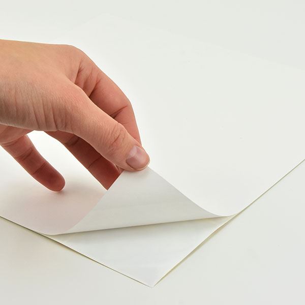 BHF3044 Coastal Wood Peel & Stick Backsplash by Brewster